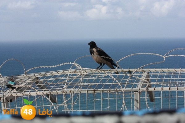 re7la7efa483 (135).JPG